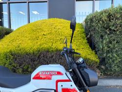 2025 CFMOTO XO PAPIO TRAIL NEBULA WHITE