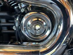 2021 Harley-davidson FLSB SPORT GLIDE (107) Black