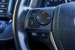 2017 Toyota RAV4 Cruiser ASA44R AWD Blue Gem