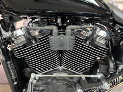 2025 HARLEY-DAVIDSON FLFB FAT BOY (117)