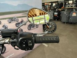 2025 HARLEY-DAVIDSON FLFB FAT BOY (117)