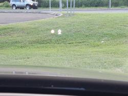 2020 Mazda CX-30 G20 Touring