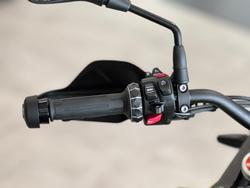 2025 BMW Motorrad F 900 GS Enduro F 900 Yellow