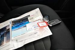 2019 Ford Endura Trend