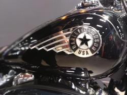 2025 Harley-Davidson Fat Boy 117 (FLFB) Softail Black