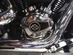 2025 Harley-Davidson Fat Boy 117 (FLFB) Softail Black