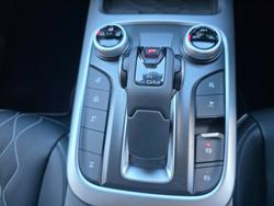 2025 GWM Tank 300 Lux