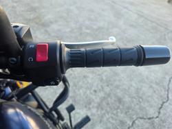 2020 Kawasaki VULCAN S SE (EN650D LAMS) PURPLE