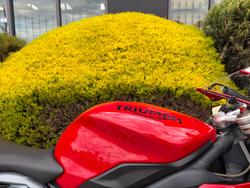 2015 Triumph DAYTONA 675 Red