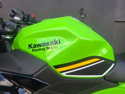 2025 Kawasaki NINJA 500 GREEN