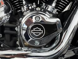 2025 Harley-davidson FLFB FAT BOY (117) Vivid Black