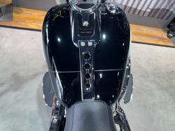 2025 Harley-davidson FLFB FAT BOY (117) Vivid Black