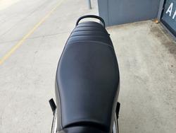 2024 Triumph SPEED 400 Red