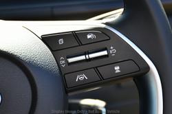 2025 Hyundai Staria-Load