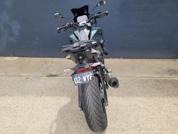 2023 BMW Motorrad S 1000 XR GREEN