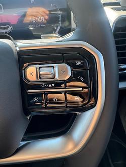 2026 LDV Terron 9 Evolve