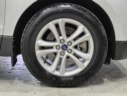 2019 Ford Endura Trend