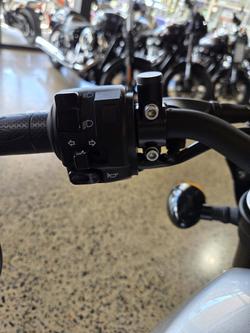 2024 Harley-Davidson X 500