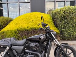 2018 HARLEY-DAVIDSON XG500 STREET 500