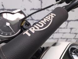 2025 Triumph Scrambler 400 X Scrambler Green