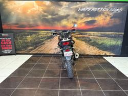 2020 Kawasaki VERSYS-X 300 SILVER