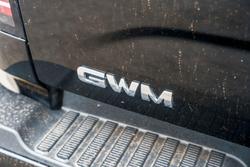 2021 GWM Ute Cannon-X