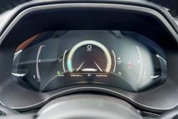 2021 GWM Ute Cannon-X