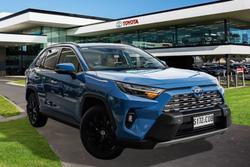 2022 Toyota RAV4 Cruiser