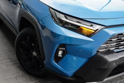 2022 Toyota RAV4 Cruiser