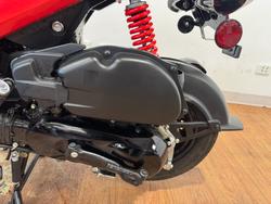 2024 Honda 2024 Honda 110CC NVA110