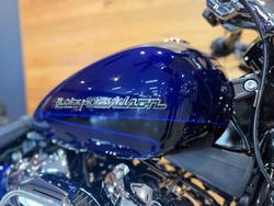 2020 Harley-davidson FXBRS BREAKOUT (114) Blue