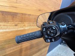 2025 Harley-davidson FLHX STREET GLIDE (117) Whiskey Firestorm