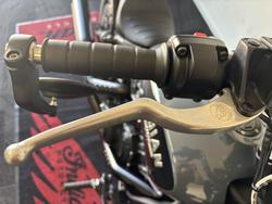 2023 Indian SCOUT ROGUE Grey