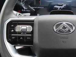 2025 LDV Terron 9 Evolve