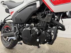 2025 CFMOTO 2025 Cf Moto 125CC PAPIO XO TRAIL