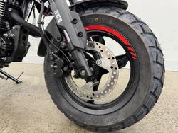 2025 CFMOTO 2025 Cf Moto 125CC PAPIO XO TRAIL