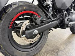 2025 CFMOTO 2025 Cf Moto 125CC PAPIO XO TRAIL