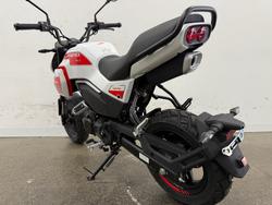 2025 CFMOTO 2025 Cf Moto 125CC PAPIO XO TRAIL