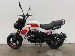 2025 CFMOTO 2025 Cf Moto 125CC PAPIO XO TRAIL