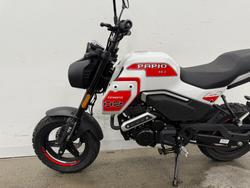 2025 CFMOTO 2025 Cf Moto 125CC PAPIO XO TRAIL