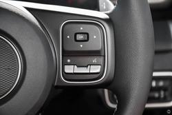 2025 GWM Cannon Premium