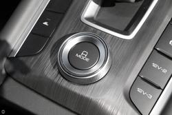 2025 GWM Cannon Premium