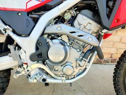 2025 HONDA CRF300L DUAL PURPOSE