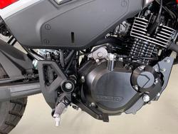 2025 CFMOTO 2025 Cf Moto 125CC XO PAPIO TRAIL