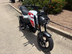 2025 CFMOTO 2025 Cf Moto 125CC XO PAPIO TRAIL White