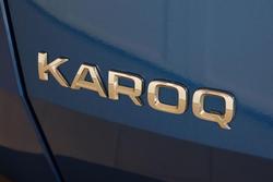 2021 SKODA Karoq 110TSI