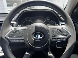 2020 GWM Ute Cannon NPW 4X4 Dual Range Pittsburgh Silver