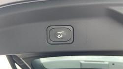 2024 Ford Everest Trend