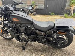 2024 Harley-Davidson RH975S NIGHTSTER S (975) Black