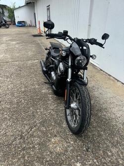 2024 Harley-Davidson RH975S NIGHTSTER S (975) Black